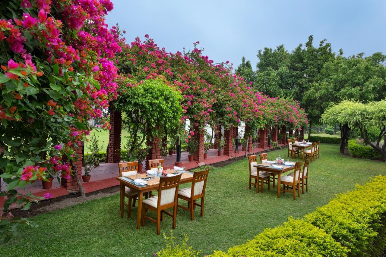 Naturoville Wellness Resort Rishikesh - Surrounded By Nature, Rooted In Wellness Doiwāla Exterior foto